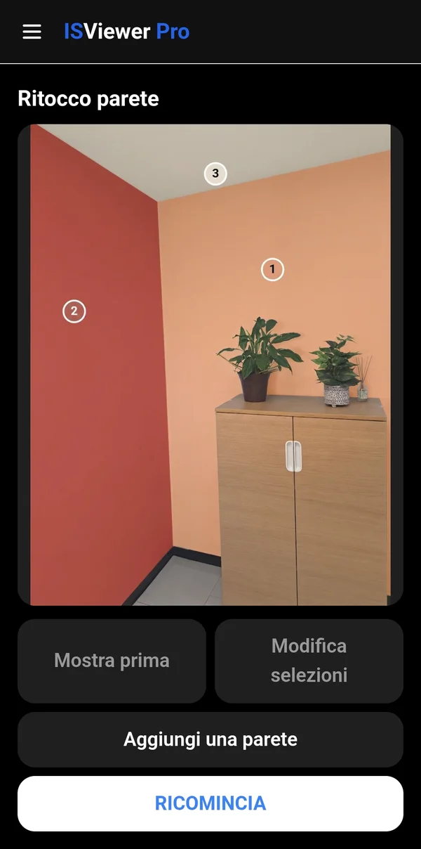 ISViewer Pro, schermata Il risultato
